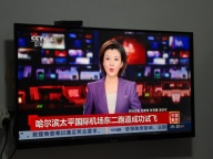 平房出租/全铝合金门窗/长短租都可以