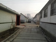 岚子后村（金碃岭南）四间平房出租