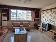 文苑小区精装六楼非顶楼出租